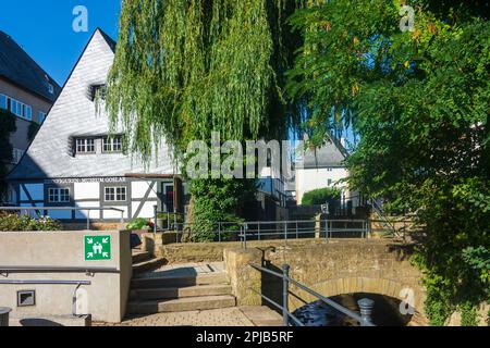 Goslar: Zinnfiguren-Museum (musée de la figure de étain) dans le moulin à eau historique de Lohmühle, la vieille ville de Harz, Niedersachsen, Basse-Saxe, Allemagne Banque D'Images
