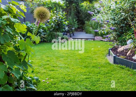 Vue sur le paysage d'un beau jardin avec pelouse fraîchement mouchée et lit à fleurs. Mise au point douce sur les plantes de premier plan Banque D'Images