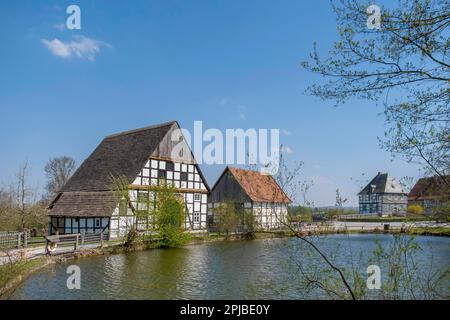 Musée régional du folklore de Westphalian, Landschaftsverband Westfalen-Lippe, Musée en plein air LWL, Detmold, Rhénanie-du-Nord-Westphalie, Allemagne Banque D'Images