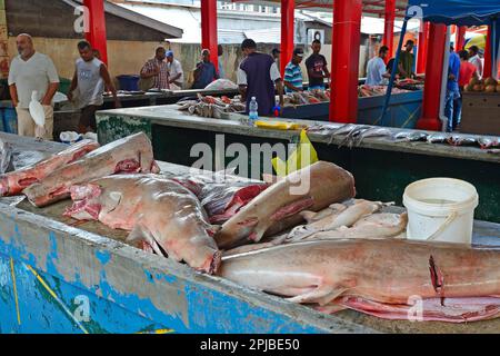 Requins fraîchement pêchés à la vente, le marché aux poissons à Sir Selwyn Selwyn-Clarke Market, Victoria, Mahe, Seychelles Banque D'Images