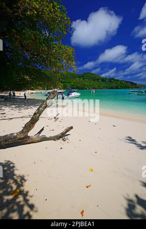 Parc national marin de la Baie-Ternay, île Mahé, Seychelles Banque D'Images