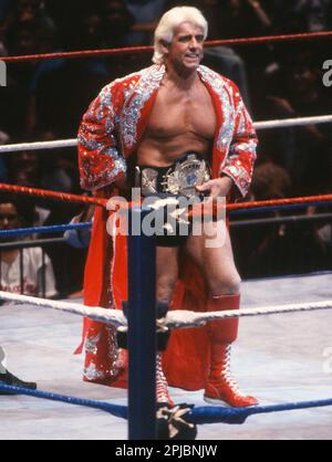 1991 Ric Flair Photo de John Barrett/PHOTOlink Banque D'Images