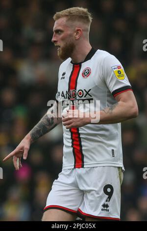 Norwich, Royaume-Uni. 01st avril 2023. Oliver McBurnie #9 de Sheffield United pendant le match de championnat de Sky Bet Norwich City vs Sheffield United à Carrow Road, Norwich, Royaume-Uni, 1st avril 2023 (photo d'Arron Gent/News Images) à Norwich, Royaume-Uni le 4/1/2023. (Photo par Arron Gent/News Images/Sipa USA) crédit: SIPA USA/Alay Live News Banque D'Images