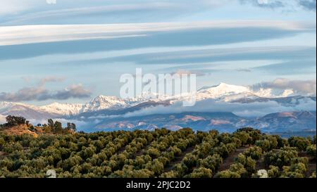 Vue panoramique de grands nuages lenticulaires sur les sommets enneigés de la Sierra Nevada (Espagne) Banque D'Images