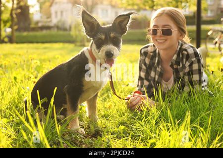 Adolescente avec son chien mignon reposant sur l'herbe verte dans le parc Banque D'Images