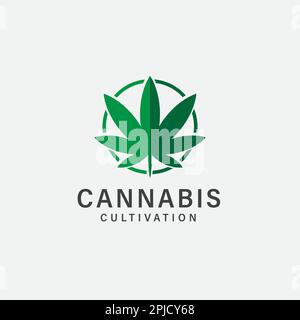 Feuille de cannabis à cercle simple pour la culture de chanvre de marijuana ou logo CBD Illustration de Vecteur
