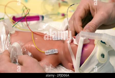 PRODUCTION - 17 mars 2023, Saxe, Leipzig: Dans le service de néonatologie de l'hôpital universitaire (UKL), la plus petite poupée 'Paul' de simulateur de patient haut de gamme au monde repose sur une table avec un masque respiratoire pendant une session de réanimation. La couleur bleue sur sa tête indique qu'elle a un syndrome de détresse respiratoire et a besoin d'oxygène. Sous la direction du médecin principal en charge de la néonatologie, le professeur Dr med. Matthias Knüpfer, les employés participent à la formation en réanimation pour les plus petits patients sur le simulateur prématuré de bébé « Paul ». Ils font partie des équipes de néonatalogie de t Banque D'Images