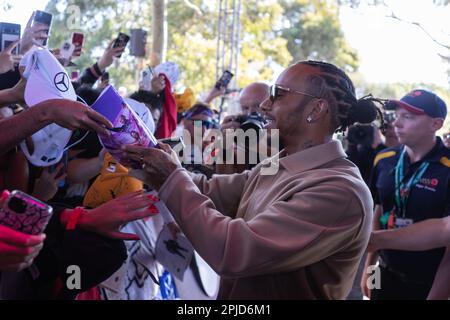 Melbourne, Australie, 2 avril 2023. Sir Lewis Hamilton signe des autographes à Melbourne Walk à on 02 avril 2023, au circuit du Grand Prix de Melbourne à Albert Park, en Australie. Crédit : Ivica Glavas/Speed Media/Alay Live News Banque D'Images