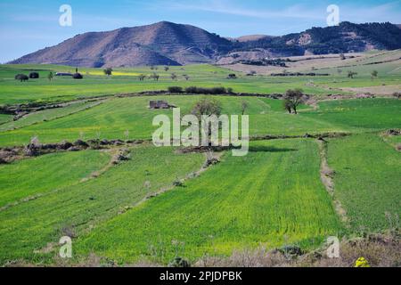 Couverture de champ agricole dans le paysage rural de l'est de la Sicile en Italie Banque D'Images