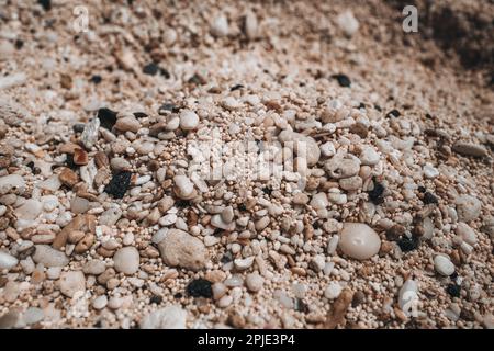 Texture de minuscules galets de plage beiges. Papier peint naturel Banque D'Images