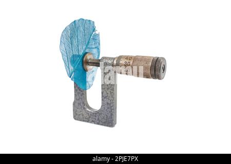 Micromètre mesurant une feuille de squelette bleu, comprendre le concept de la nature Banque D'Images