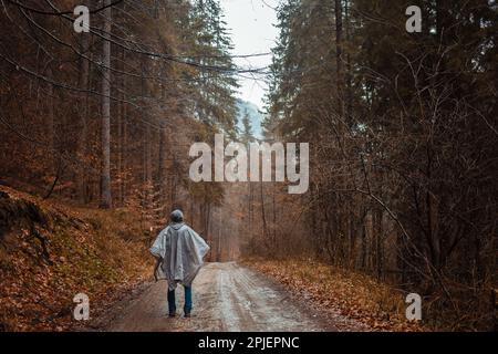 homme en imperméable marche à travers la forêt, la pluie, la solitude, l'automne et l'hiver, homme à l'intérieur lui-même, réflexions. Banque D'Images