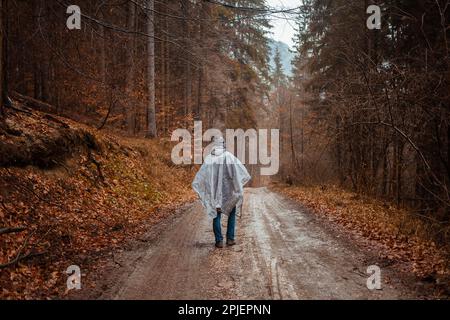 homme en imperméable marche à travers la forêt, la pluie, la solitude, l'automne et l'hiver, homme à l'intérieur lui-même, réflexions. Banque D'Images