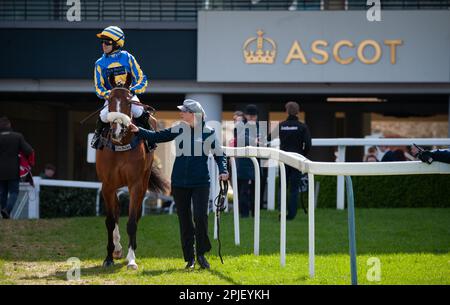 Ascot, Royaume-Uni. 02nd avril 2023. Ascot, Royaume-Uni. 02nd avril 2023. El Rio et David Bass gagnent l'hippodrome d'Ascot soutient la course d'obstacles Ascot United Warriors Maiden pour l'entraîneur Kim Bailey et les propriétaires des grands personnages de Rio crédit : JTW Equine Images/Alay Live News crédit : JTW Equine Images/Alay Live News Banque D'Images