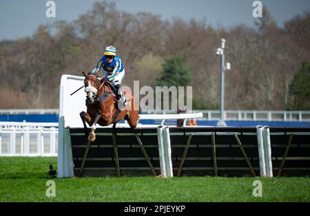 Ascot, Royaume-Uni. 02nd avril 2023. El Rio et David Bass gagnent l'hippodrome d'Ascot soutient la course d'obstacles Ascot United Warriors Maiden pour l'entraîneur Kim Bailey et les propriétaires des grands personnages de Rio crédit : JTW Equine Images/Alay Live News Banque D'Images