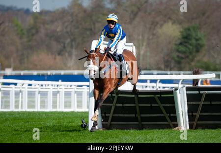 Ascot, Royaume-Uni. 02nd avril 2023. El Rio et David Bass gagnent l'hippodrome d'Ascot soutient la course d'obstacles Ascot United Warriors Maiden pour l'entraîneur Kim Bailey et les propriétaires des grands personnages de Rio crédit : JTW Equine Images/Alay Live News Banque D'Images