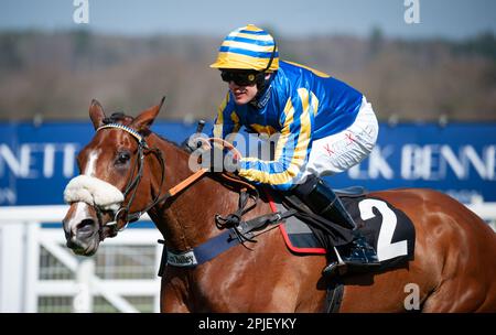 Ascot, Royaume-Uni. 02nd avril 2023. El Rio et David Bass gagnent l'hippodrome d'Ascot soutient la course d'obstacles Ascot United Warriors Maiden pour l'entraîneur Kim Bailey et les propriétaires des grands personnages de Rio crédit : JTW Equine Images/Alay Live News Banque D'Images