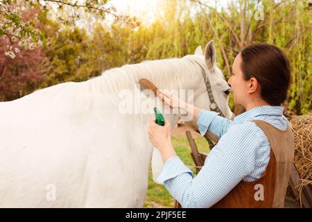 Une jeune belle femme peigne la manie et la queue d'un cheval avec un peigne en bois. Spray pour le soin des cheveux. brossage facile, soin des animaux de compagnie, vue arrière de l'amour Banque D'Images