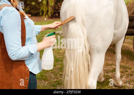 Une jeune belle femme peigne la manie et la queue d'un cheval avec un peigne en bois. Spray pour le soin des cheveux. brossage facile, soin des animaux, printemps d'amour Banque D'Images