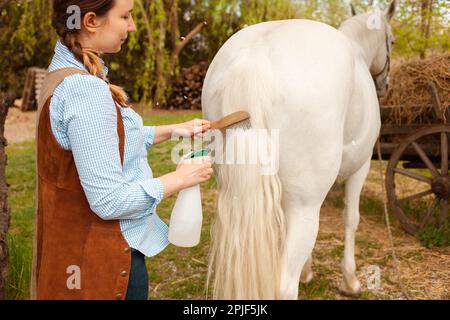 Une jeune belle femme peigne la manie et la queue d'un cheval avec un peigne en bois. Spray pour le soin des cheveux. brossage facile, soin des animaux de compagnie, amour de la runch Banque D'Images