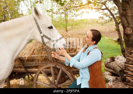 Une belle jeune femme pose à côté d'un cheval blanc. Cowboy, ranch, village. Amour amitié préoccupation. Animaux de compagnie. À l'extérieur de la porte, bois d'herbe verte. sunlig Banque D'Images