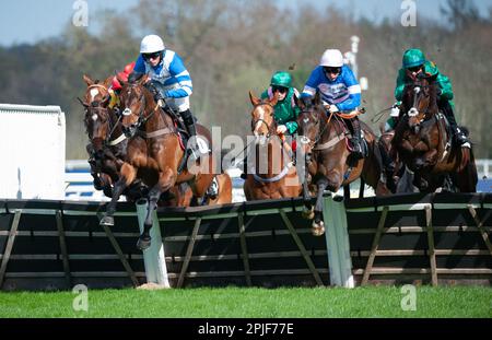 Ascot, Royaume-Uni. 02nd avril 2023. Blueking d'Oroux et le jockey Angus Cheleda remportent l'obstacle de handicap juvénile du Royal Ascot Racing Club pour l'entraîneur Paul Nicholls et la propriétaire Mme Johnny de la Hey. Crédit : JTW Equine Images/Alamy Live News Banque D'Images