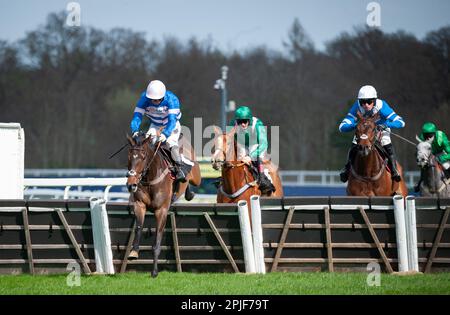 Ascot, Royaume-Uni. 02nd avril 2023. Blueking d'Oroux et le jockey Angus Cheleda remportent l'obstacle de handicap juvénile du Royal Ascot Racing Club pour l'entraîneur Paul Nicholls et la propriétaire Mme Johnny de la Hey. Crédit : JTW Equine Images/Alamy Live News Banque D'Images