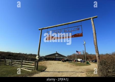 Deep Hollow Ranch, le plus ancien ranch de bétail des États-Unis, Montauk, long Island, NY Banque D'Images