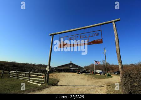 Deep Hollow Ranch, le plus ancien ranch de bétail des États-Unis, Montauk, long Island, NY Banque D'Images