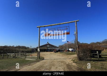 Deep Hollow Ranch, le plus ancien ranch de bétail des États-Unis, Montauk, long Island, NY Banque D'Images