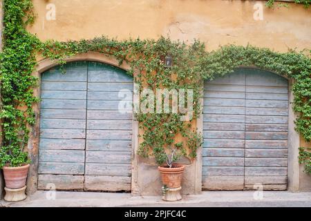 Lucignano d'Asso Montalcino, Italie - 15 août 2022 : vue sur le petit village médiéval situé sur les collines toscanes dans la province de Sienne Banque D'Images