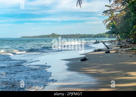 Plage pittoresque de Cocles sur la côte des Caraïbes du Costa Rica, Puerto Viejo de Talamanca Banque D'Images