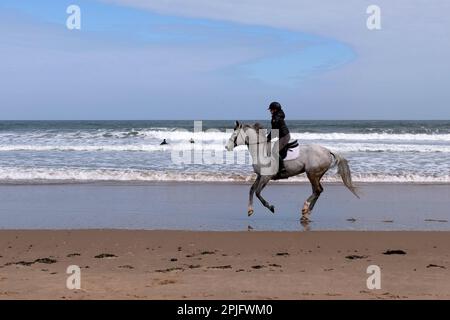 Dunbar, Écosse, Royaume-Uni. 2nd avril 2023. Les gens appréciant le soleil mais le temps froid, le long de la côte est de Lothian à Belhaven Bay. Température autour de 5C dans la brise. Cantonnement de chevaux le long de la plage. Crédit : Craig Brown/Alay Live News Banque D'Images