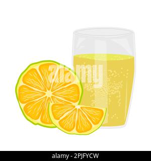 Orange et verre avec jus.jus fraîchement pressé de citron, mandarine ou orange.tranches de fruits d'agrumes, boisson, cocktail, limonade, sap, Smoothie.Vector Illustration de Vecteur