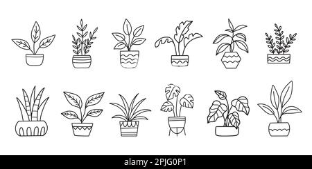 Plantes de maison en pots, ensemble de plantes de maison Illustration de Vecteur