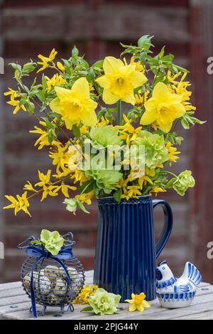 bouquet de fleurs de narcisse jaunes, roses de lenten et branches de forsythia dans un vase Banque D'Images