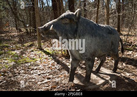 Sculpture de sanglier, Sękocin Stary, Gmina Raszyn, dans le comté de Pruszków, Masovian Voivodeship, Dans le centre-est de la Pologne Banque D'Images