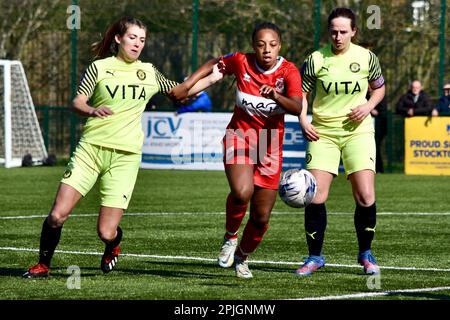 Teesside, Royaume-Uni. 02 avril 2023. Middlesbrough femmes FC attaquant Armani Maxwell fait le large de deux défenseurs de Stockport comme Middlesbrough femmes FC (en rouge et blanc) a joué Stockport County Ladies FC dans la FA Women’s National League Division One North. Les visiteurs ont gagné 1-6 au Map Group UK Stadium à Stockton-on-Tees, un butté qui a été dur du côté de la maison. Crédit : Teesside Snapper/Alamy Live News Banque D'Images