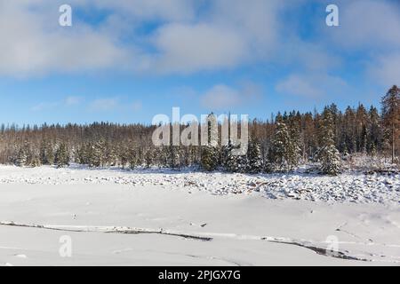 Vue sur l'étang Oder du parc national de Harz Banque D'Images