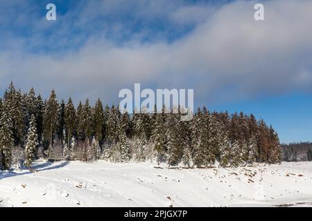 Vue sur l'étang Oder du parc national de Harz Banque D'Images