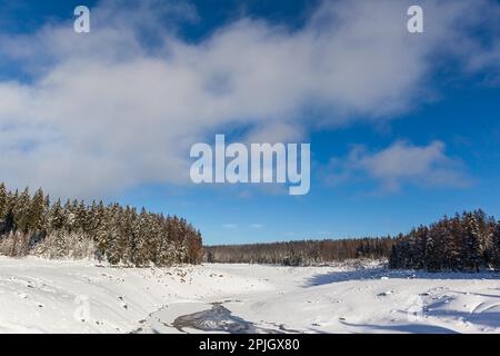 Vue sur l'étang Oder du parc national de Harz Banque D'Images