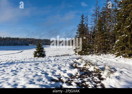 Vue sur l'étang Oder du parc national de Harz Banque D'Images