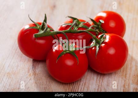 Tomates mûres sur la branche Banque D'Images