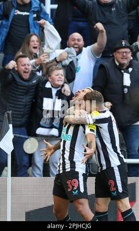 2nd avril 2023 ; St James' Park, Newcastle, Angleterre : Premier League football, Newcastle United contre Manchester United ; Bruno Guimaraes et Kieran Trippier de Newcastle United célèbrent après que Joe Willock a marqué le but d'ouverture en 65th minutes pour le faire 1-0 Banque D'Images