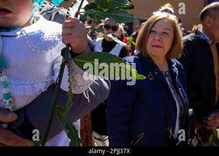 Une fille tient une branche de Laurier à l'extérieur de l'église de San Lorenzo pendant la bénédiction des branches par le prêtre paroissial. La procession des palmiers représente le passage de Jésus à son entrée triomphante à Jérusalem. La procession a visité les rues de la ville, accompagné de fidèles aux bouquets et au groupe symphonique de la ville. Crédit : SOPA Images Limited/Alamy Live News Banque D'Images