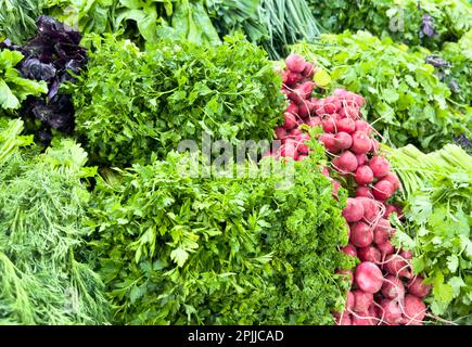 Ensemble de légumes sur le comptoir du marché. Oignons verts, radis rouges, laitue, persil plat, basilic pourpre, sorrel frais, betteraves et autres épices Banque D'Images