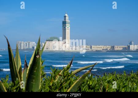 Vue sur la magnifique mosquée Hassan II et la ville de Casablanca au Maroc Banque D'Images