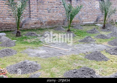 Préparation et nivellement de l'herbe à l'aide du sable Banque D'Images