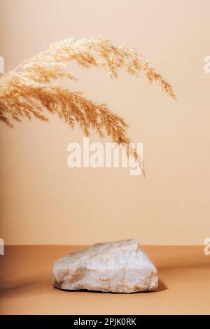 Podium en pierre pour les cosmétiques ou le parfum et la décoration de l'herbe de pampas avec des ombres. Maquette. Banque D'Images