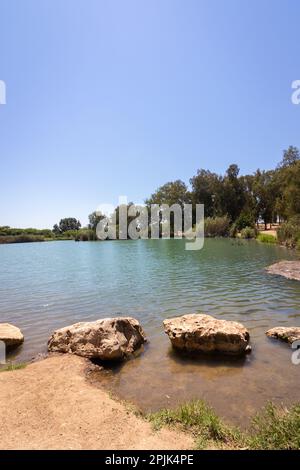 Un lac d'eau douce de la rivière Yarkon dans la réserve naturelle d'Ein Afek à Gush Dan - Israël Banque D'Images